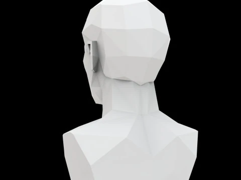 Cubist Bust 3D Printable Model 3D Print Model