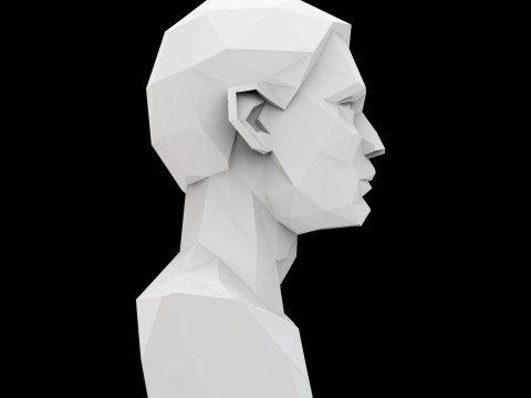 Cubist Bust 3D Printable Model Modello di stampa 3D
