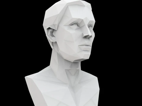 Cubist Bust 3D Printable Model 3D Print Model