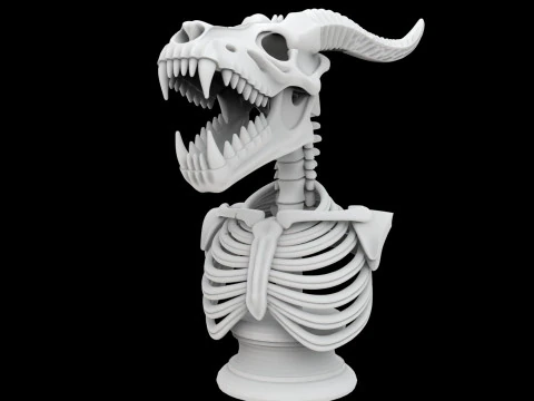 Skeleton Dragon Skull Bust 3D Printable Model 3D Print Model