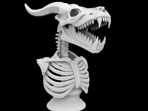 Skeleton Dragon Skull Bust 3D Printable Model 3D Print Model
