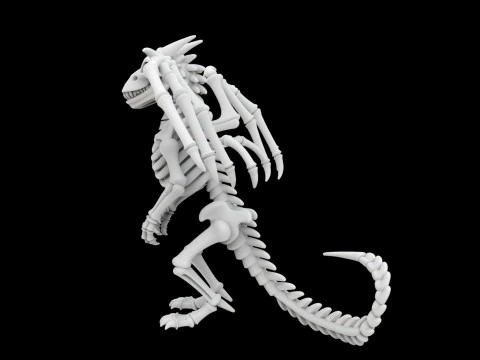 Skeleton Dragon Standing Pose 3D Printable Model 3D Print Model
