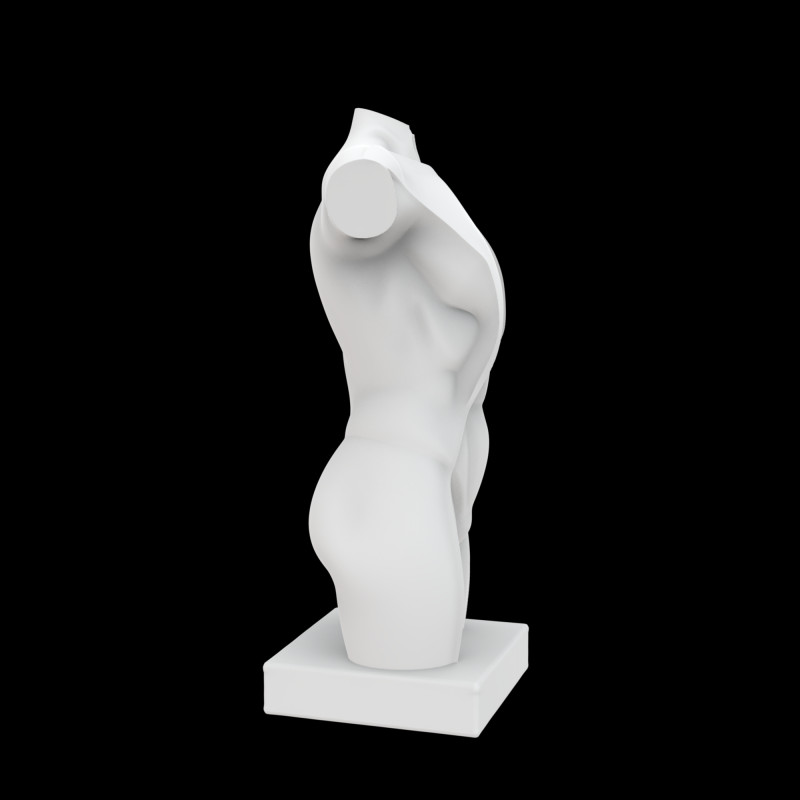 Abstract Human Torso Sculpture 3D Printable Model 3D 打印模型 .c4d .max .obj .3ds .fbx .stl .blend