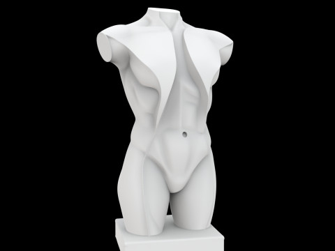 Abstract Human Torso Sculpture 3D Printable Model 3D 打印模型