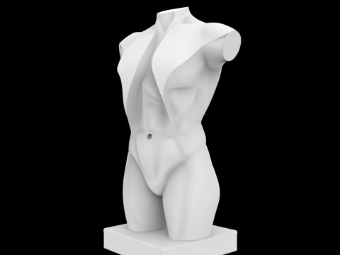 Abstract Human Torso Sculpture 3D Printable Model 3D 打印模型
