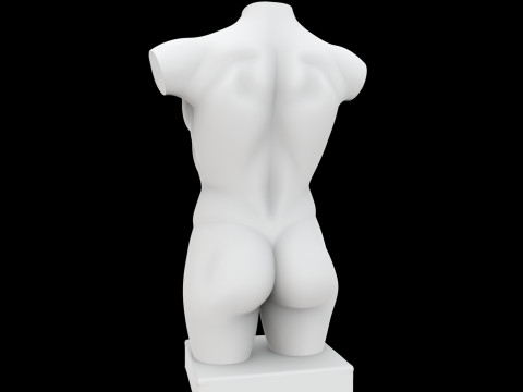 Abstract Human Torso Sculpture 3D Printable Model 3D 打印模型