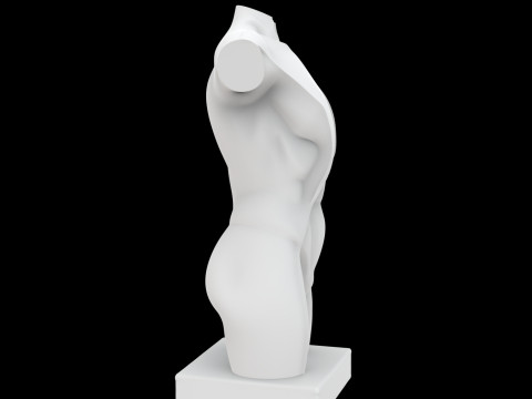 Abstract Human Torso Sculpture 3D Printable Model 3D 打印模型
