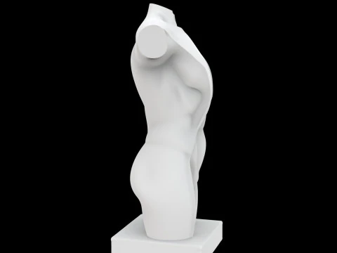 Abstract Human Torso Sculpture 3D Printable Model 3D Print Model