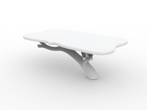 Floating Tree Branch Shelf 3D Printable Model 3D Print Model