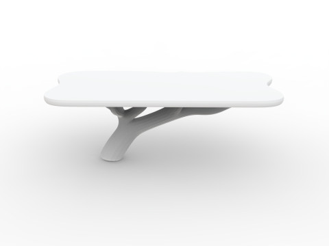 Floating Tree Branch Shelf 3D Printable Model 3D Print Model