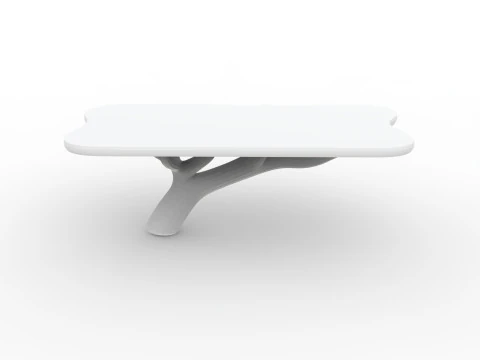 Floating Tree Branch Shelf 3D Printable Model 3D Print Model