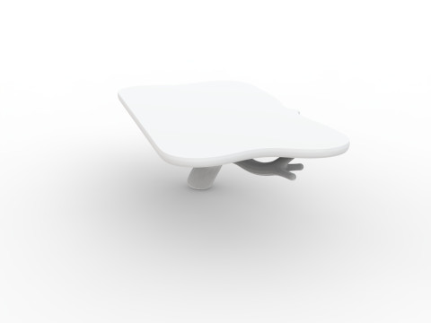 Floating Tree Branch Shelf 3D Printable Model 3D Print Model