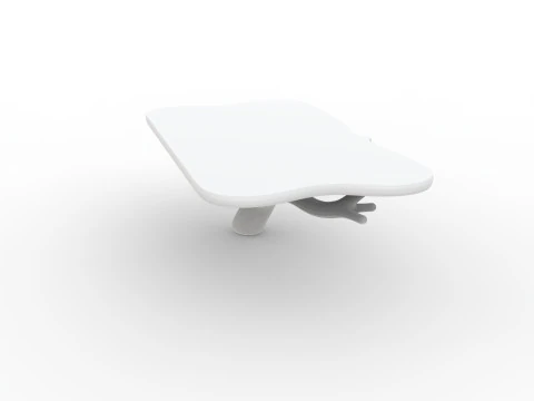Floating Tree Branch Shelf 3D Printable Model 3D Print Model