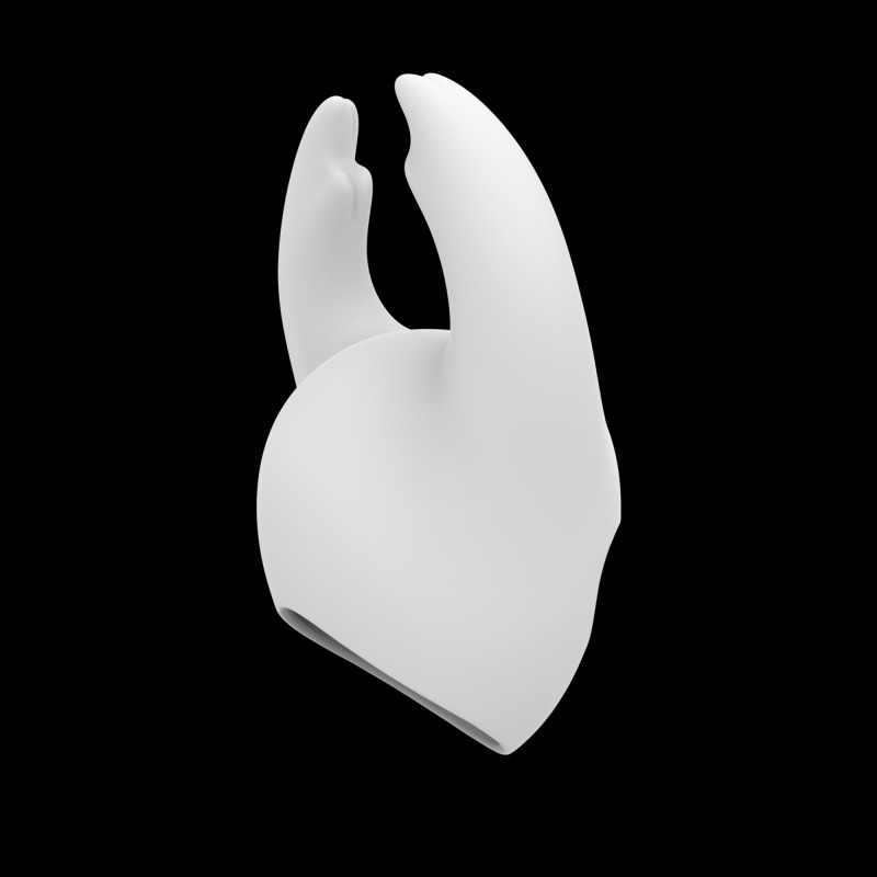 Hollow Knight Charm 3D Print Model Modelo de Impressão 3D .c4d .max .obj .3ds .fbx .stl .blend