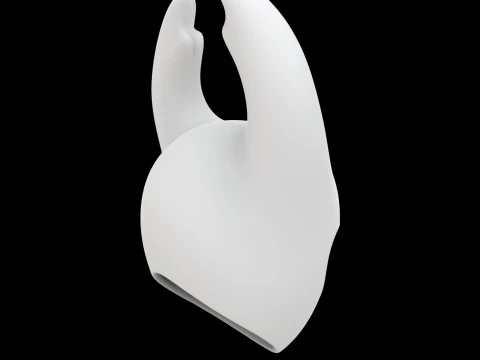 Hollow Knight Charm 3D Print Model 3D Print Model