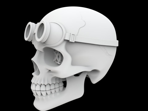 Steampunk Skull with Goggles 3D Print Model 3D 프린트 모델