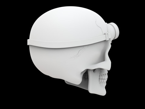 Steampunk Skull with Goggles 3D Print Model 3D 프린트 모델
