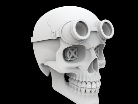 Steampunk Skull with Goggles 3D Print Model 3D 프린트 모델