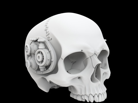Half Steampunk Skull 3D Print Model 3D Druckmodell