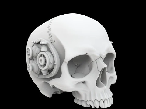 Half Steampunk Skull 3D Print Model 3D Print Model