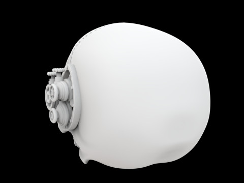 Half Steampunk Skull 3D Print Model 3D Druckmodell