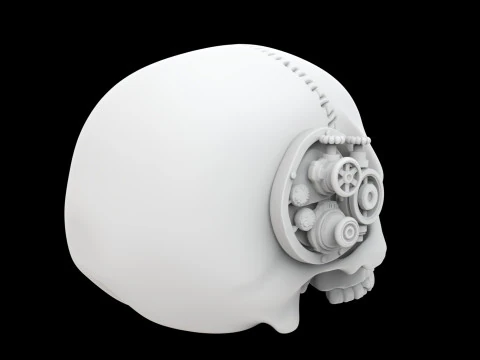 Half Steampunk Skull 3D Print Model 3D Print Model