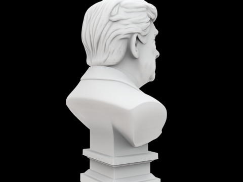 Donald Trump buste 3D print model historische figuur 3D Model