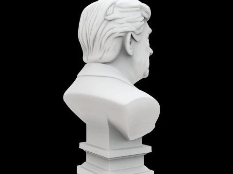 Donald Trump Bust 3D Print Model Historical Figure 3D Model