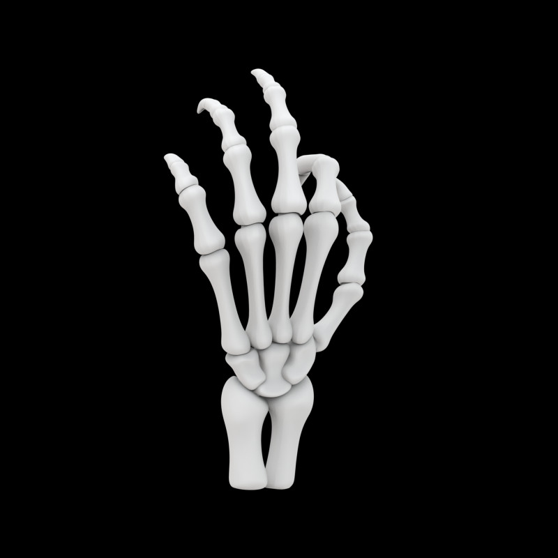 Modelo de impressão 3D de mão de esqueleto de dragão Modelo 3D .c4d .max .obj .3ds .fbx .stl .blend 