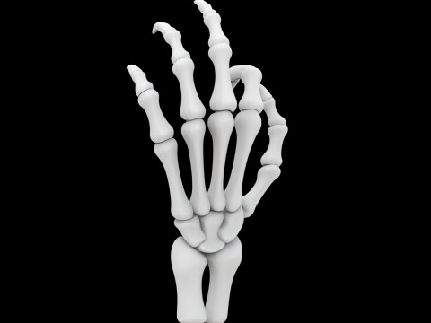 Draak skelet hand 3D printmodel 3D Model