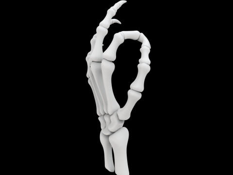 Modelo de impressão 3D de mão de esqueleto de dragão Modelo 3D