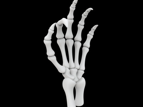 Modelo de impressão 3D de mão de esqueleto de dragão Modelo 3D