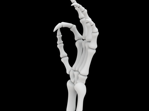 Modelo de impressão 3D de mão de esqueleto de dragão Modelo 3D