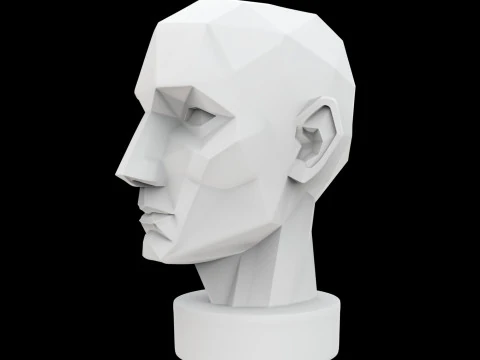 Geometric Head Bust 3D Print Model 3D Model