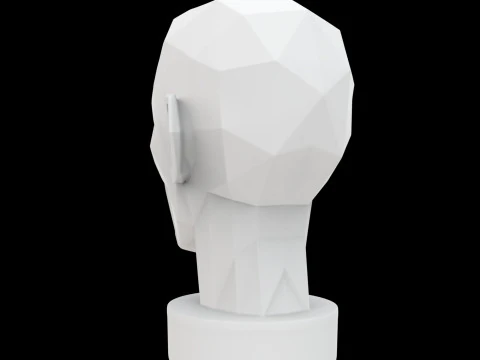 Geometric Head Bust 3D Print Model 3D Model