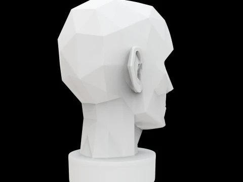 Geometric Head Bust 3D Print Model 3D Model