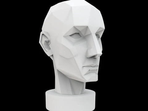 Geometric Head Bust 3D Print Model 3D Model