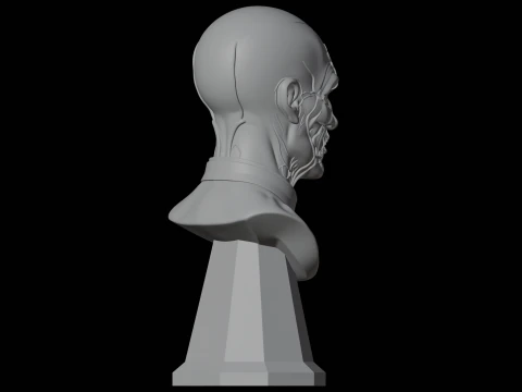 Vampir-Priester-B&uuml;ste, 3D-Druckmodell, Horror-Charakter-B&uuml;ste 3D Modell