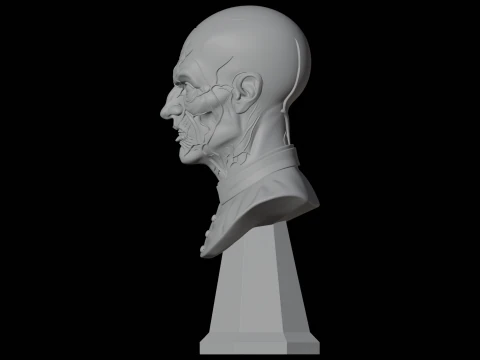 Vampir-Priester-B&uuml;ste, 3D-Druckmodell, Horror-Charakter-B&uuml;ste 3D Modell