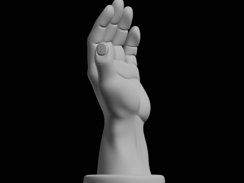 Hand Display Stand Home Decor Model 3D Print Model