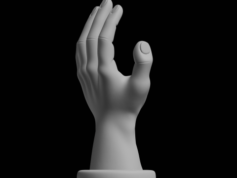 Hand Display Stand Home Decor Model 3D Print Model