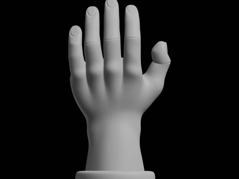 Hand Display Stand Home Decor Model 3D Print Model