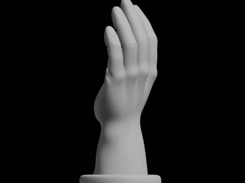 Hand Display Stand Home Decor Model 3D Print Model