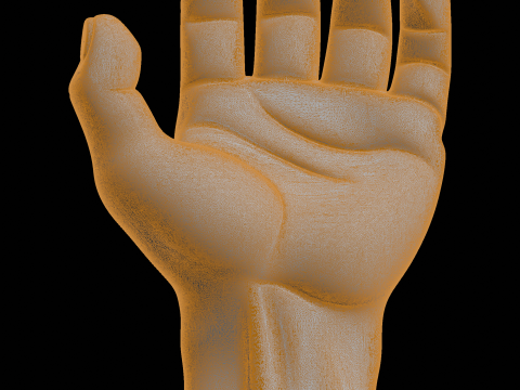 Hand Display Stand Home Decor Model 3D Print Model