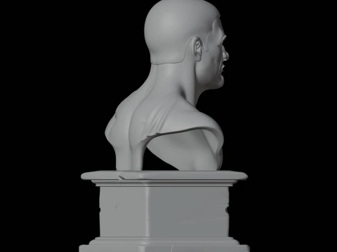 Roman Male Bust 3D Print Model