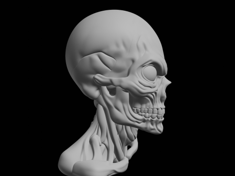 Angry Skull Bust 3D Print Model