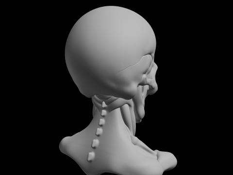 Angry Skull Bust 3D Print Model