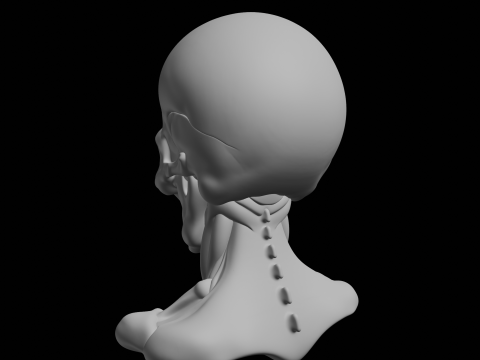 Angry Skull Bust 3D Print Model