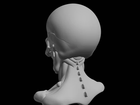 Angry Skull Bust 3D Print Model