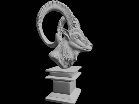 Ibex Goat Head Bust 3D Print Model